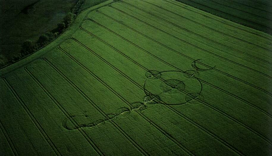   36-        ,        15     .       ,  ,   